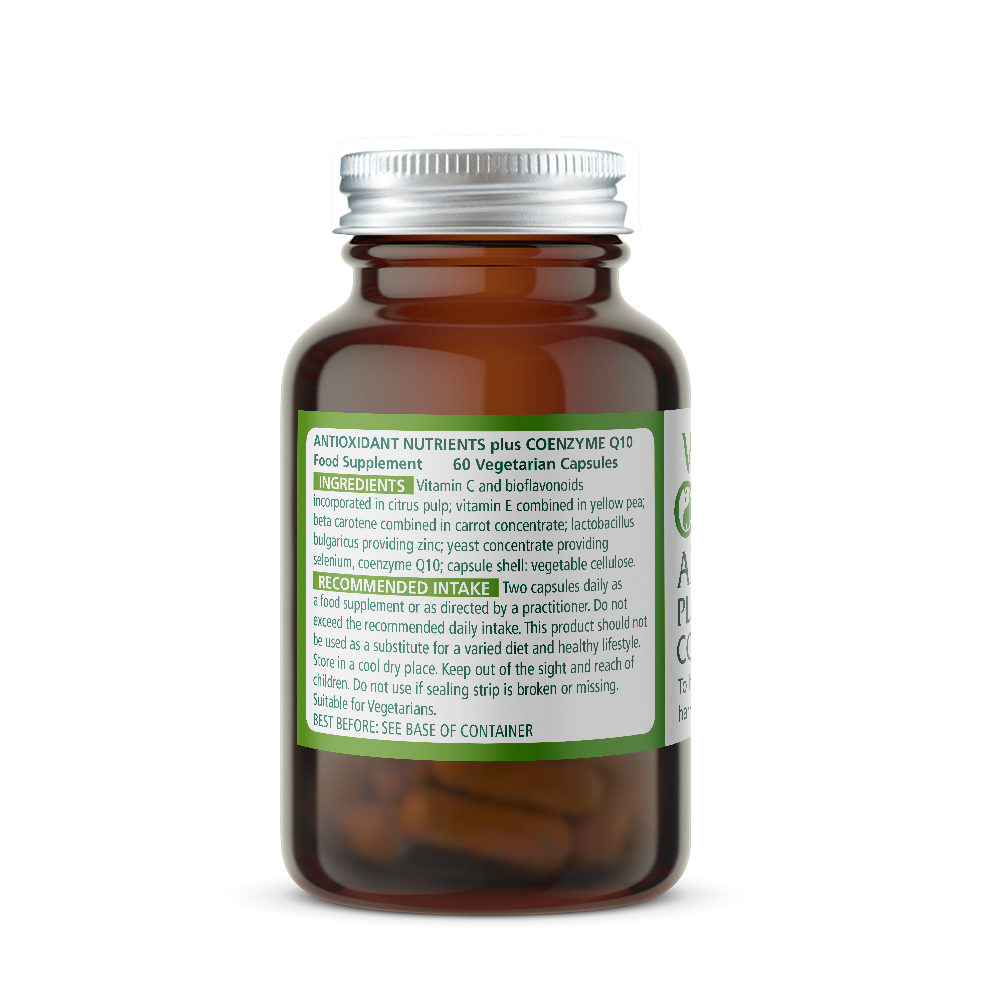 Wise Owl Antioxidant Plus Coenzyme Q10 bottle with green ingredients label