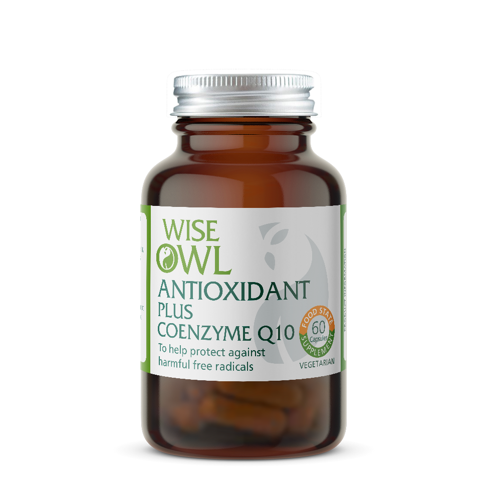 Bottle of Wise Owl Antioxidant Plus Coenzyme Q10 on a white background