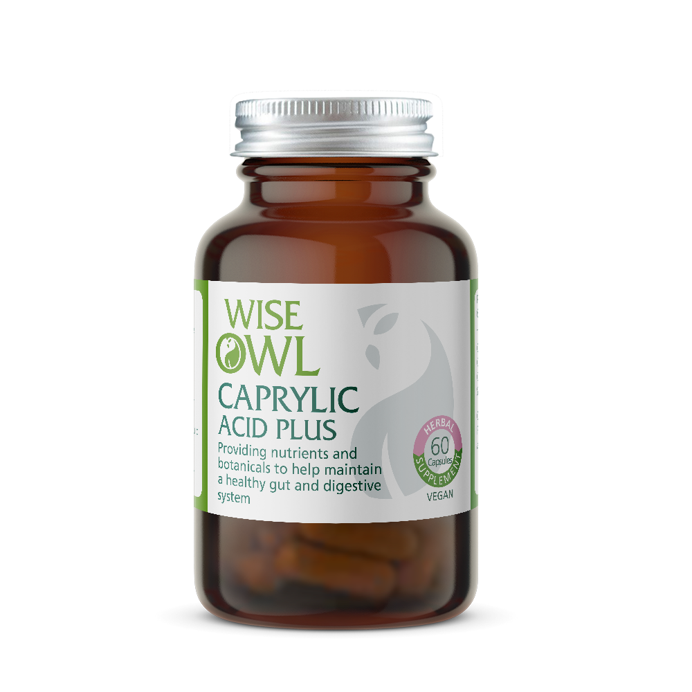 Bottle of Wise Owl Health Caprylic Acid Plus on a white background