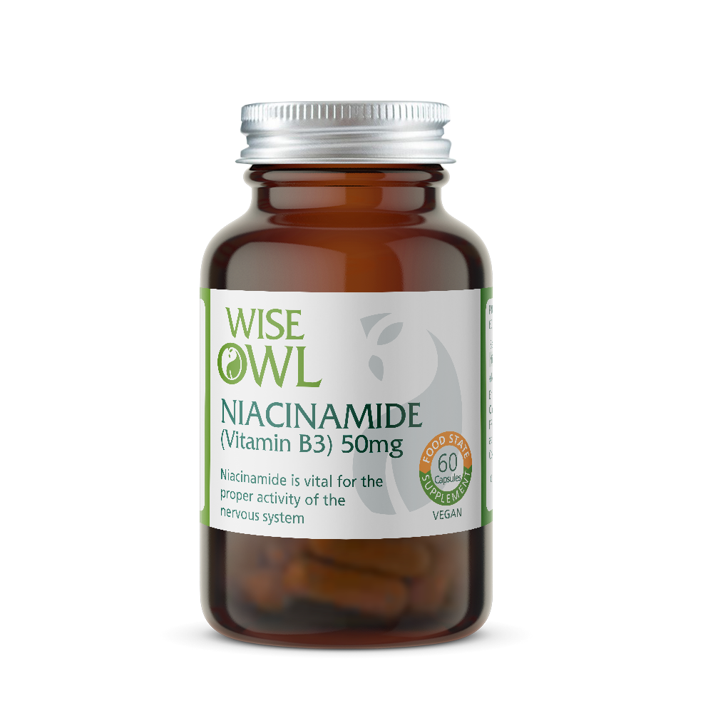 Niacinamide Vitamin supplement bottle labeled 'Wise Owl' on a white background
