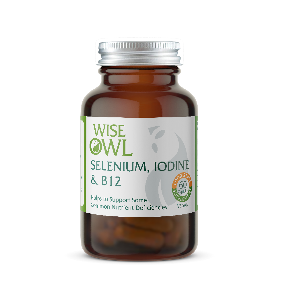 Vitamin supplement bottle labeled 'Wise Owl' with selenium, iodine, and B12 on a white background