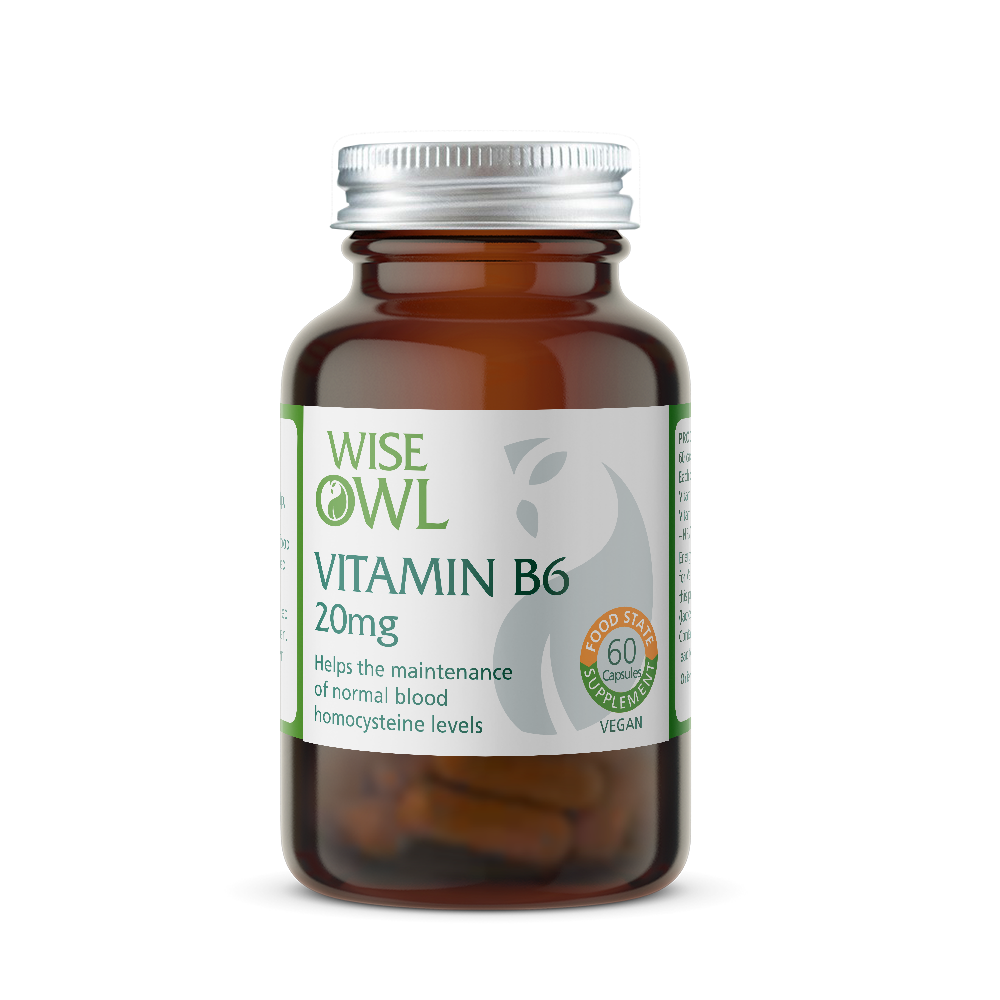 Vitamin B6 supplement bottle with Wise Owl label on a white background