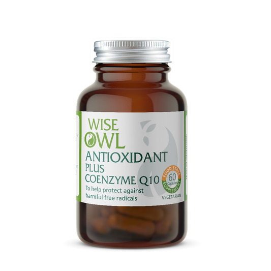 Bottle of Wise Owl Antioxidant Plus Coenzyme Q10 on a white background