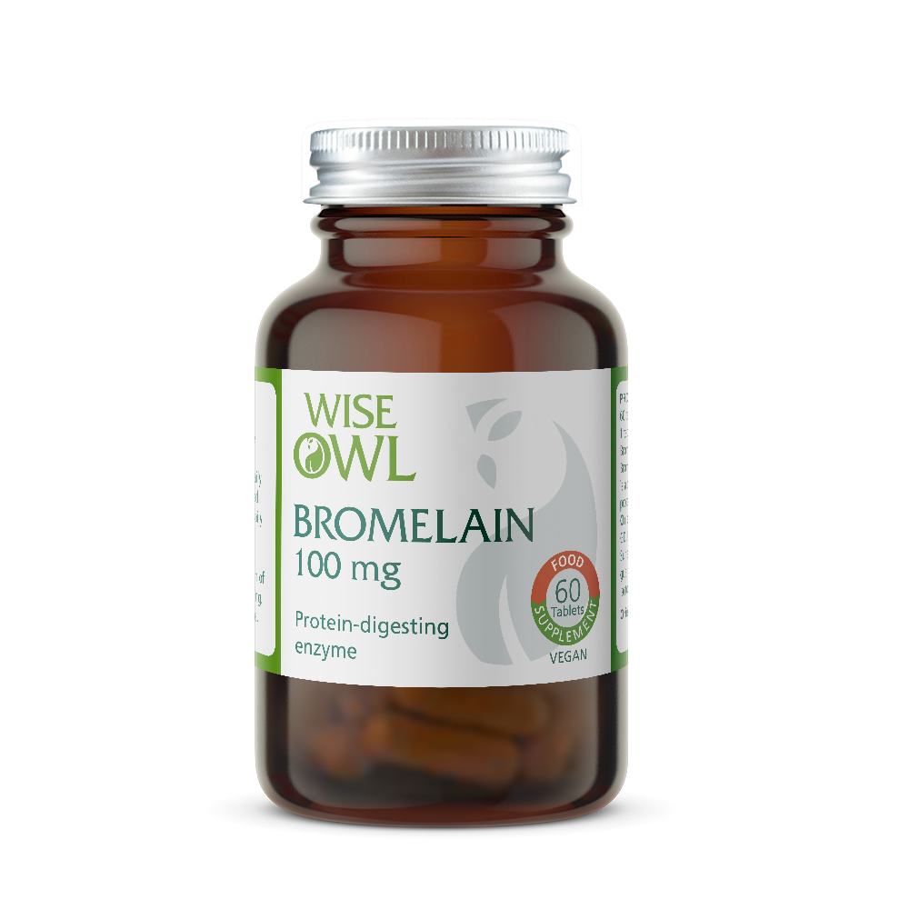 Bottle of Wise Owl Bromelain 100 mg supplement on a white background