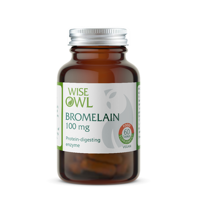 Bottle of Wise Owl Bromelain 100 mg supplement on a white background