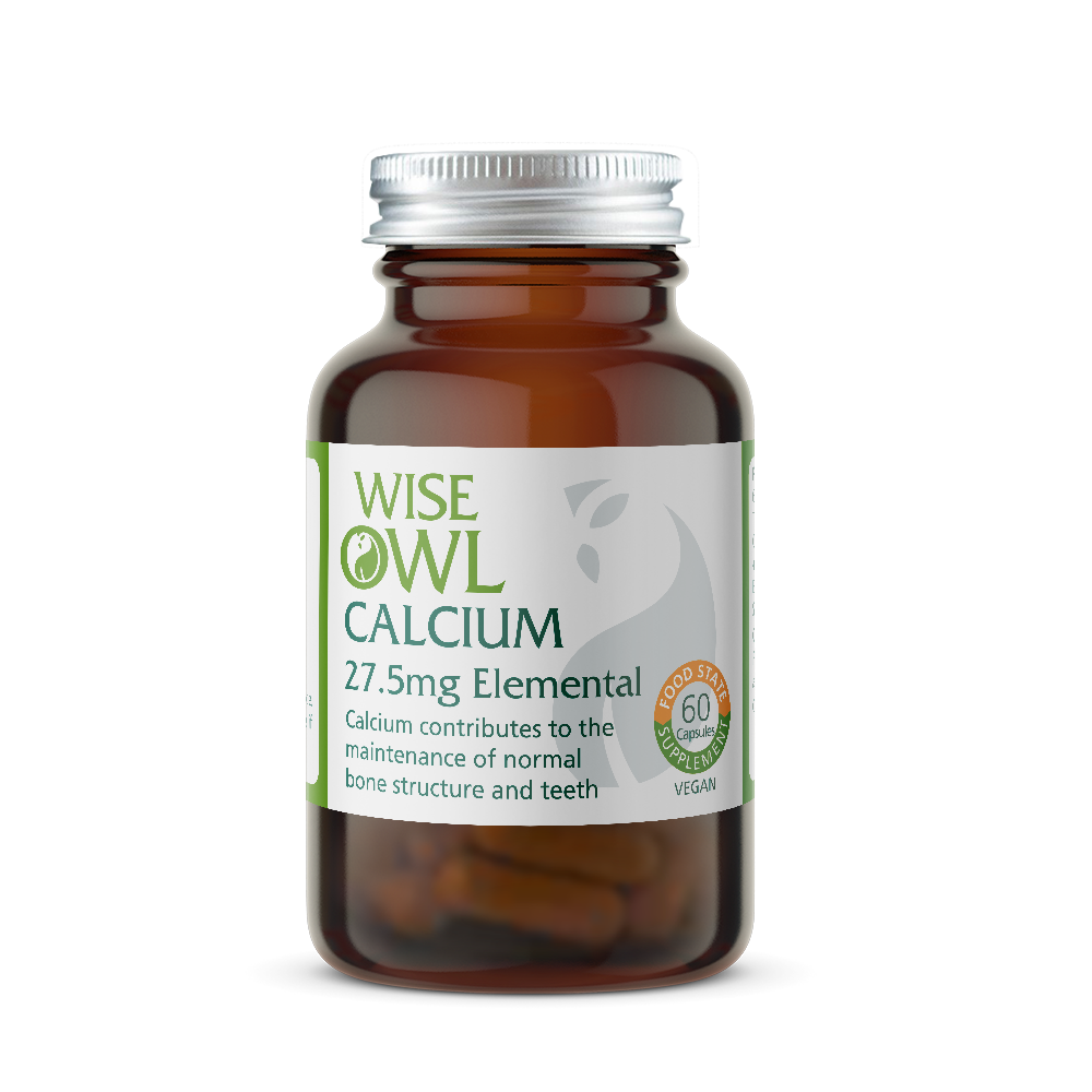 Bottle of Wise Owl Health Calcium supplement on a white background