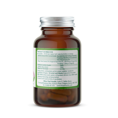 Curcumin x 60 Capsules (Liposomal Herbal Food) - Wise Owl Health