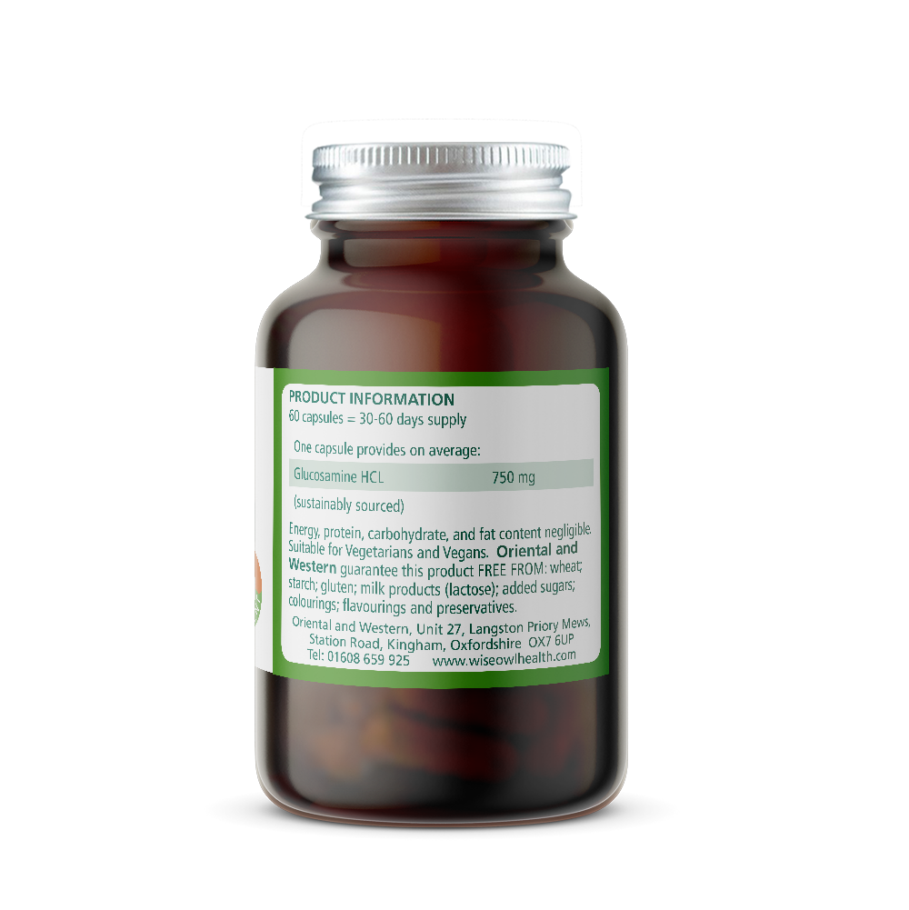 Brown Bottle of Wise Owl Glucosamine HCL 750 mg with Product Information label on a white background