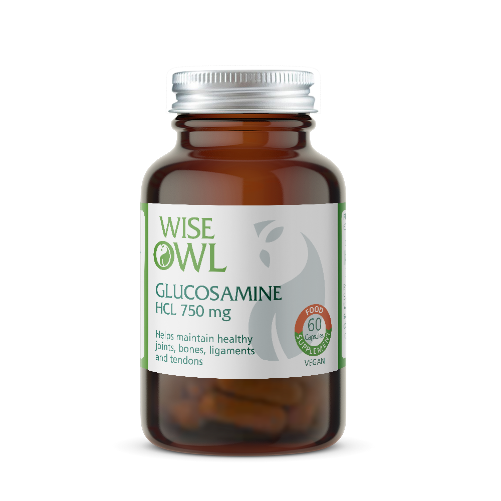 Bottle of Wise Owl Glucosamine HCL 750 mg on a white background