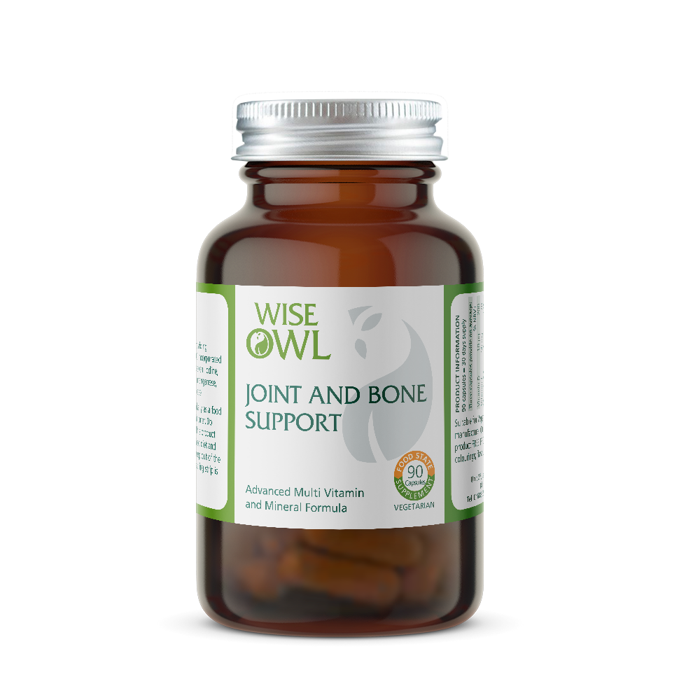Bottle of Wise Owl Joint and Bone Support supplement on a white background