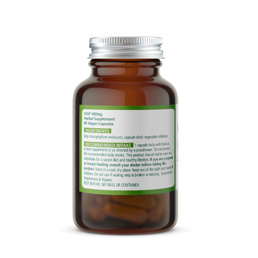 Brown supplement bottle labeled 'Wise Owl Kelp 400mg' with ingredients label on a white background
