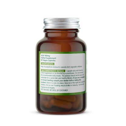 Brown supplement bottle labeled 'Wise Owl Kelp 400mg' with ingredients label on a white background