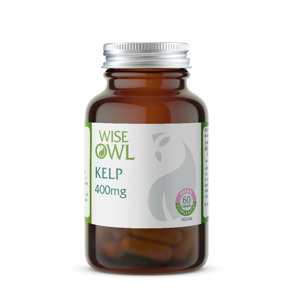 Brown supplement bottle labeled 'Wise Owl Kelp 400mg' on a white background