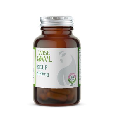 Brown supplement bottle labeled 'Wise Owl Kelp 400mg' on a white background