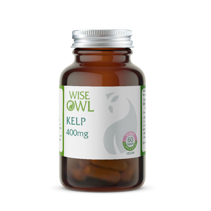 Brown supplement bottle labeled 'Wise Owl Kelp 400mg' on a white background