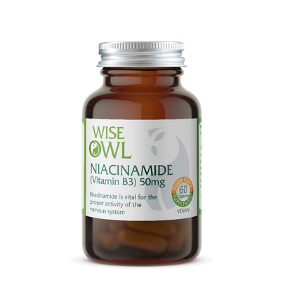Niacinamide Vitamin supplement bottle labeled 'Wise Owl' on a white background