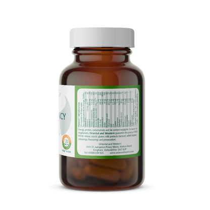 Pregnancy Support Formula x 120 Capsules (Food State)