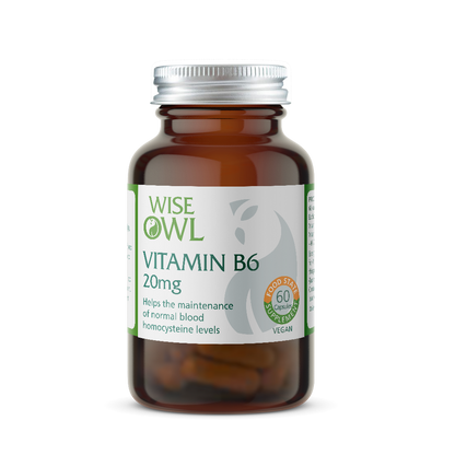 Vitamin B6 supplement bottle with Wise Owl label on a white background