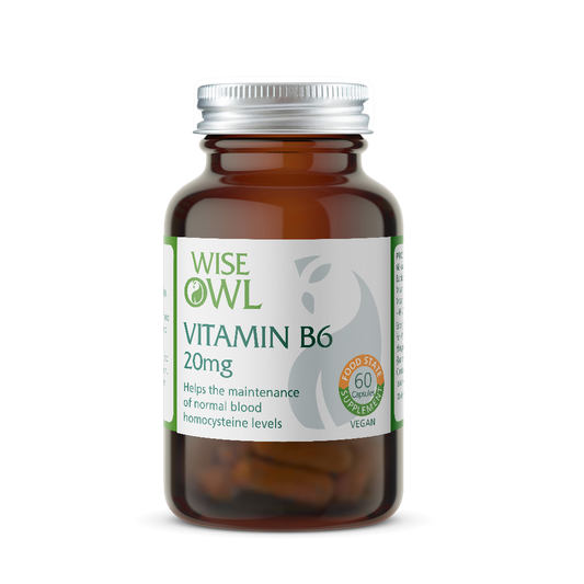Vitamin B6 supplement bottle with Wise Owl label on a white background