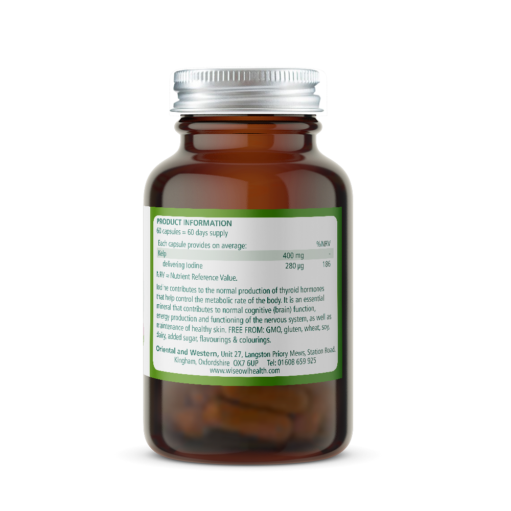 Brown supplement bottle labeled 'Wise Owl Kelp 400mg' with product Information label on a white background