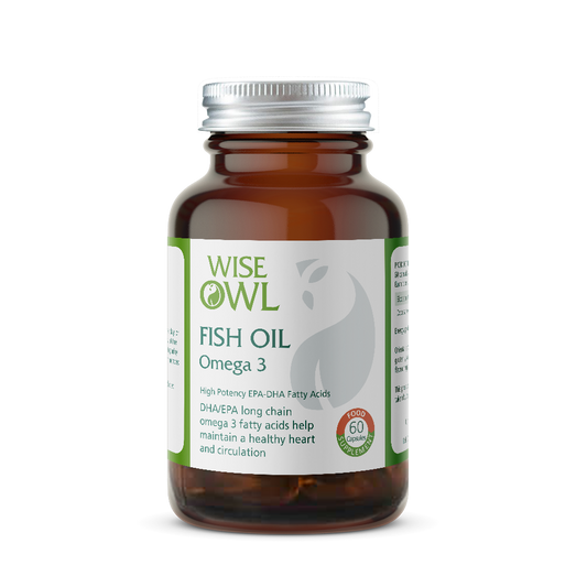 Bottle of Wise Owl Fish Oil Omega 3 on a white background