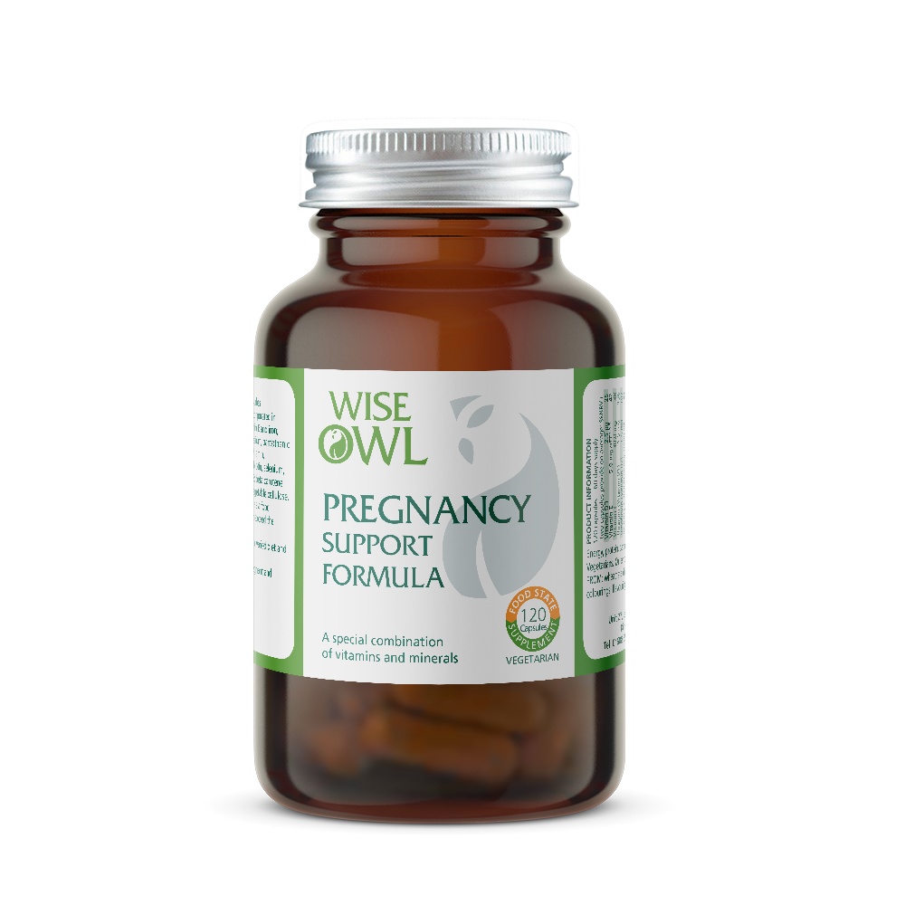 Wise Owl Health Pregnancy Support Formula - 120 Capsules