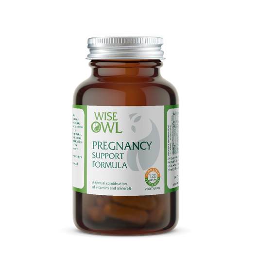 Wise Owl Health Pregnancy Support Formula - 120 Capsules