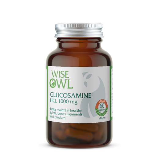 Glucosamine HCL 100mg bottle by Wise Owl health