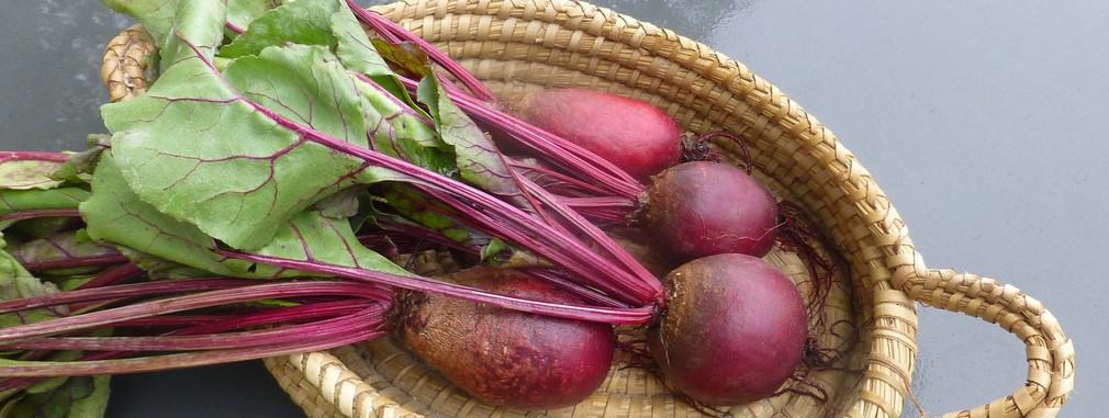 beetroot